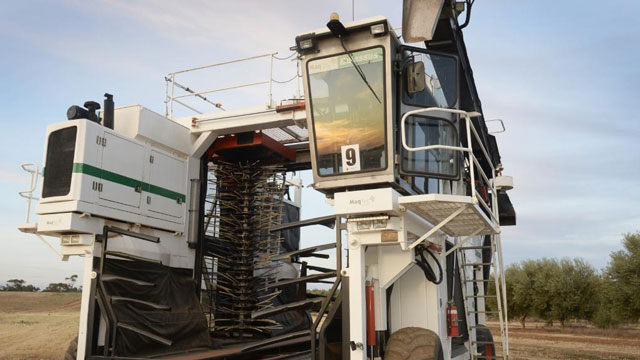 Easy oil: Leda Custom Colossus XL harvester made at Buronga.