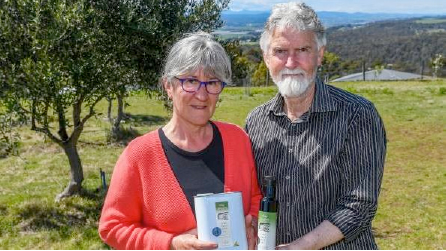 The good oil: Allen and Barbara Baird, of The Village Olive Grove, won a gold medal in the Australian International olive awards and a trophy for best olive oil in Tasmania. Picture: Phillip Biggs
