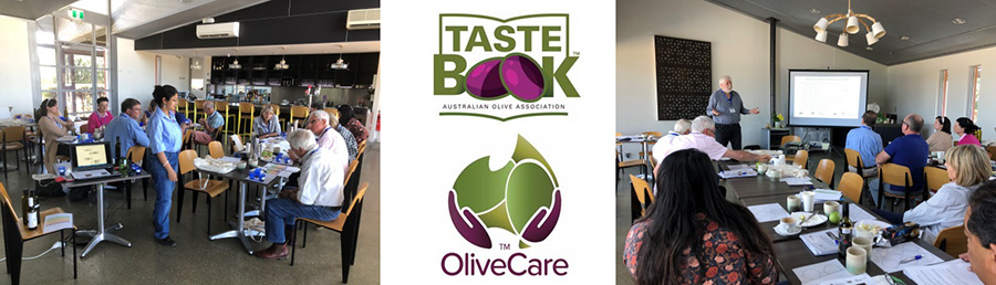 GI-Nov19-Tastebook_OliveCare-workshops-1