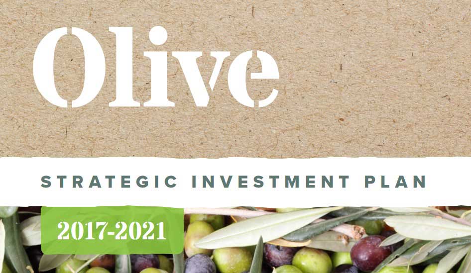 GI-Mar21-Olive-industry-SIP-process-1