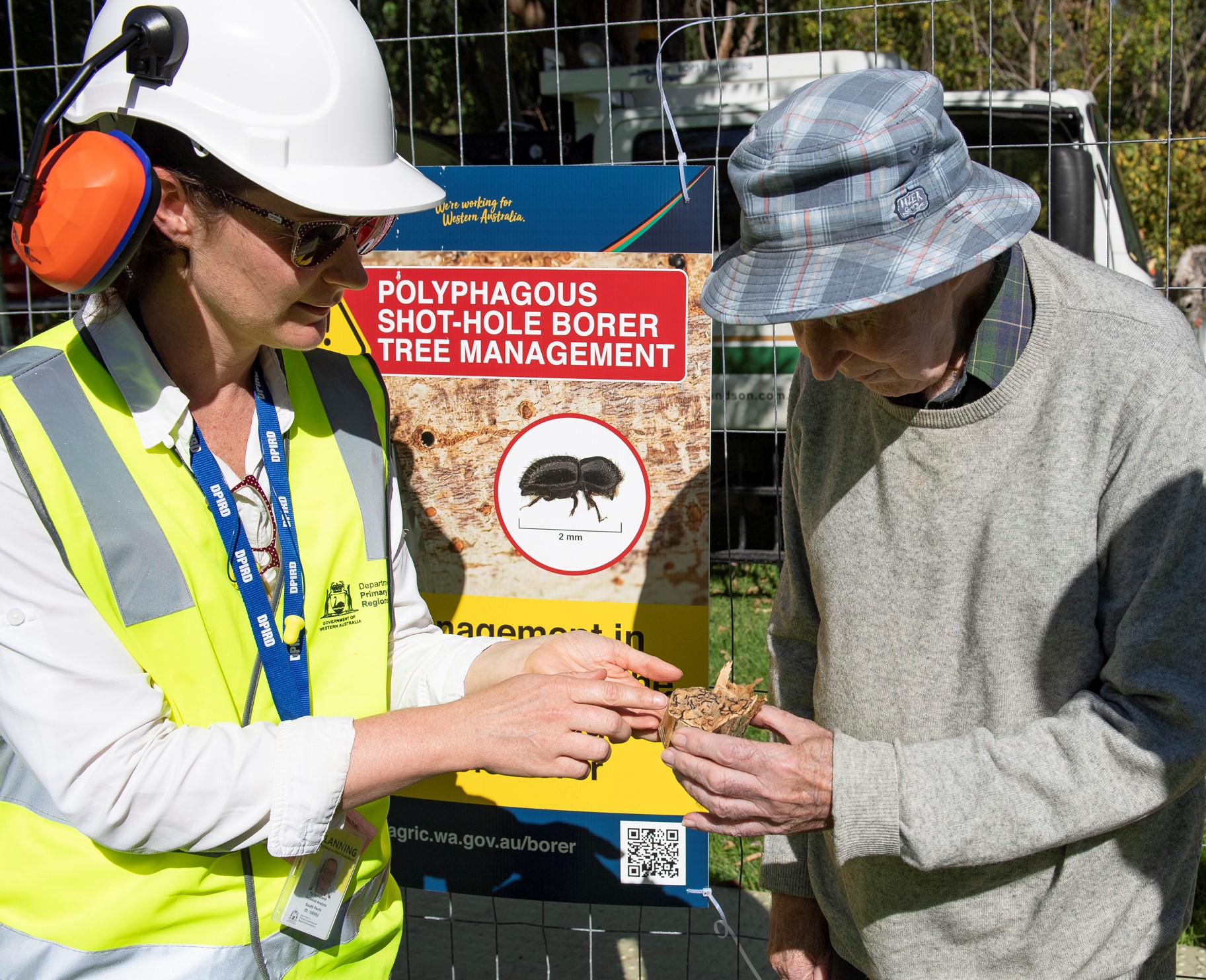 PSHB Masons Gardens tree removal