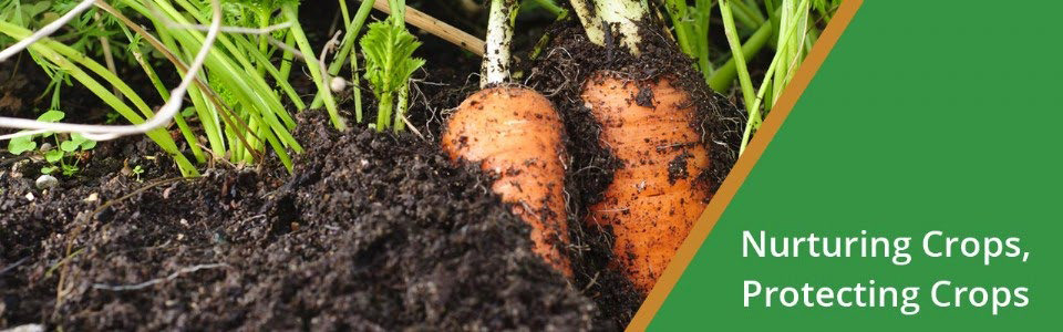 GI-Sept22-Biological-Products-Database-1