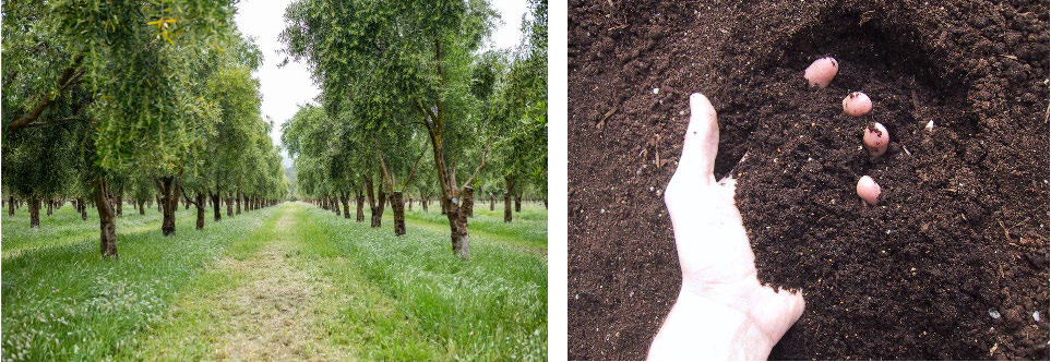 GI-Aug23-Composting-field-day-1