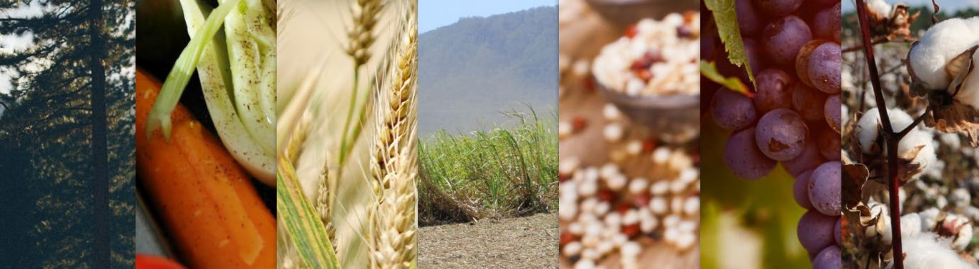 GI-Sept23-Newsletter-text-9