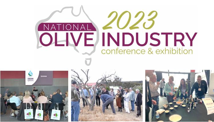 Screenshot 2023-10-10 092532