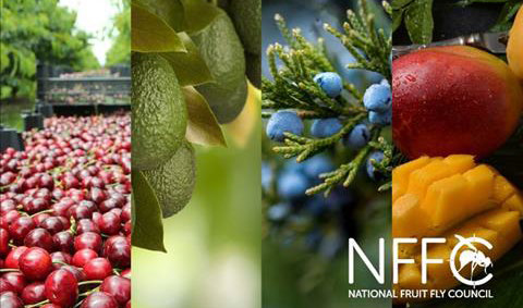 GI-Jan24-Newsletter-text-3