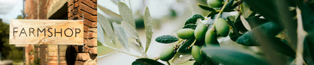 Opportunity aplenty amid agritourism boom_FOE 4 July 2025
