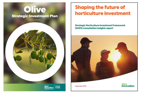 strategic plan