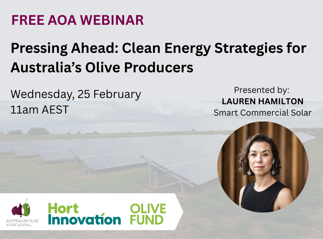 Solar webinar_ 1080 x 800 no website