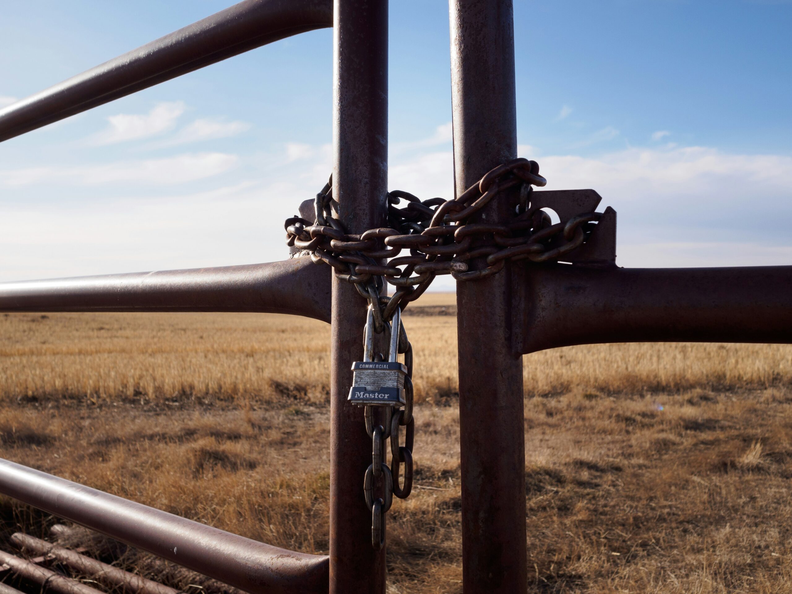 matt-forster-ksIkq-QUSSk-unsplash