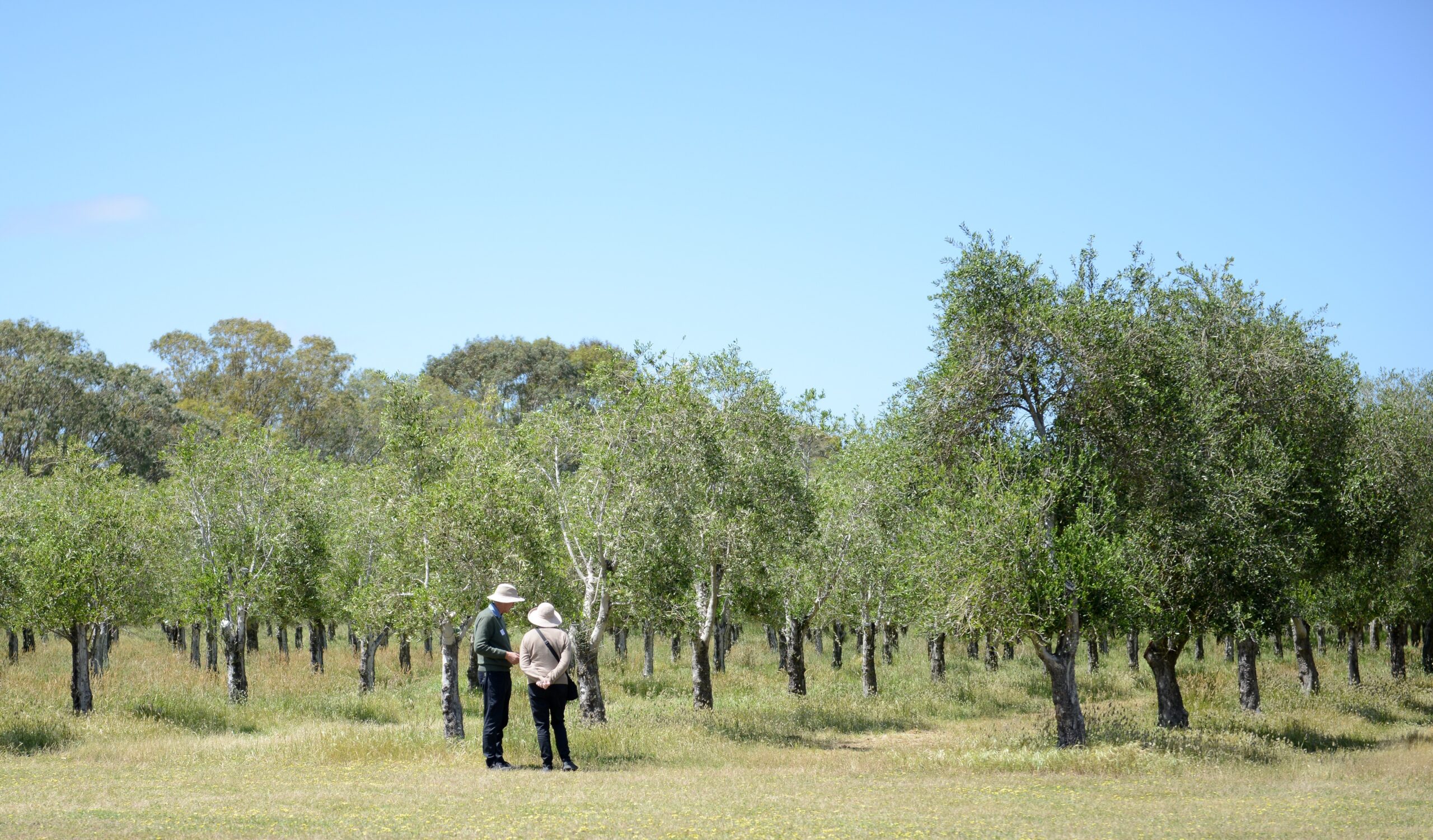 Agritourism